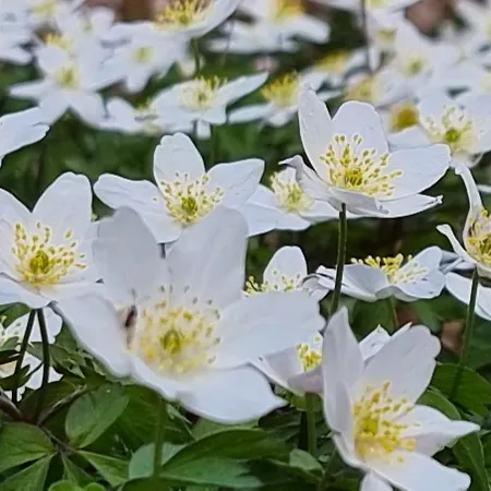 Apartment Haus Baerbel *